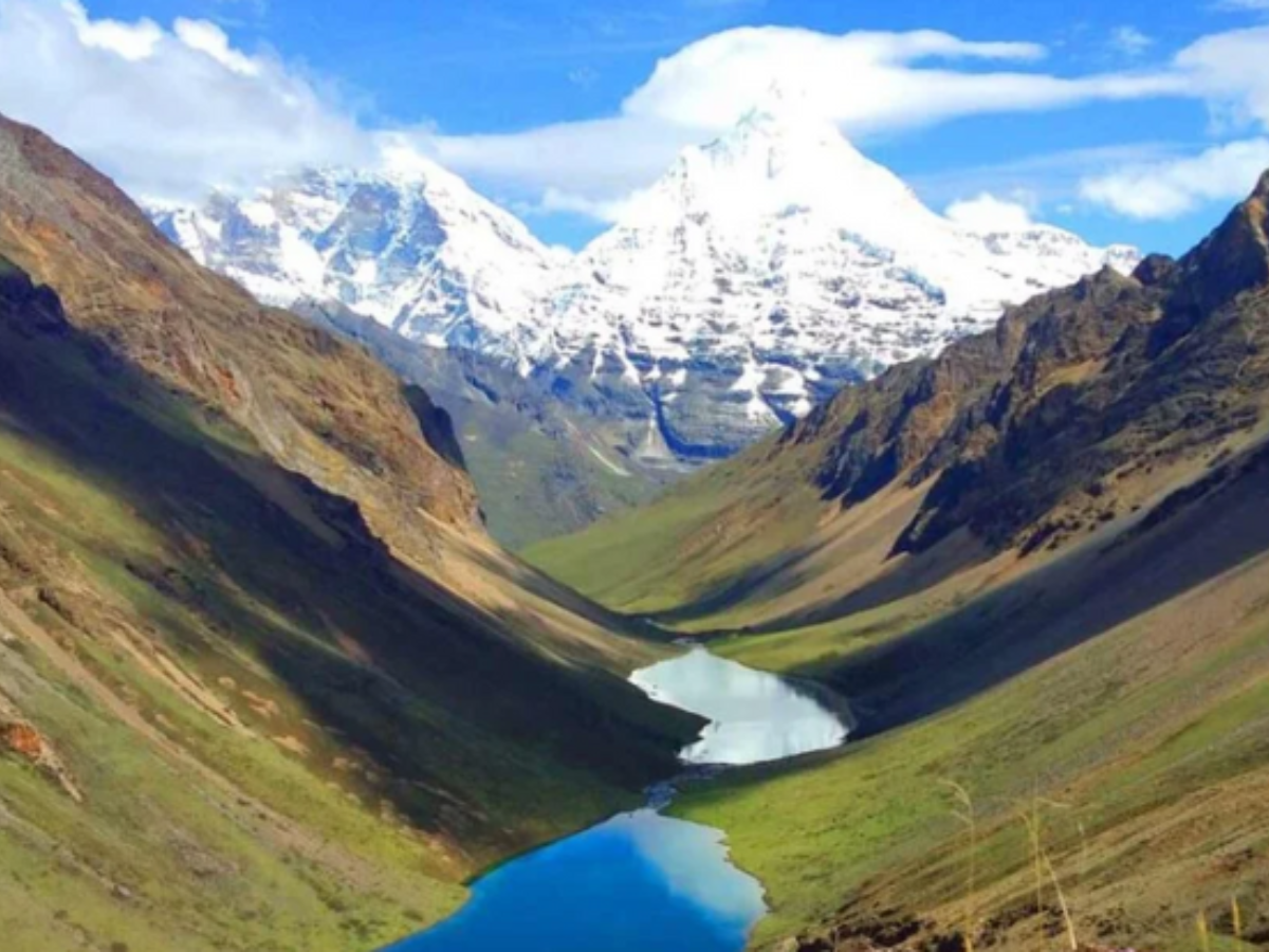 Untitled design (36)